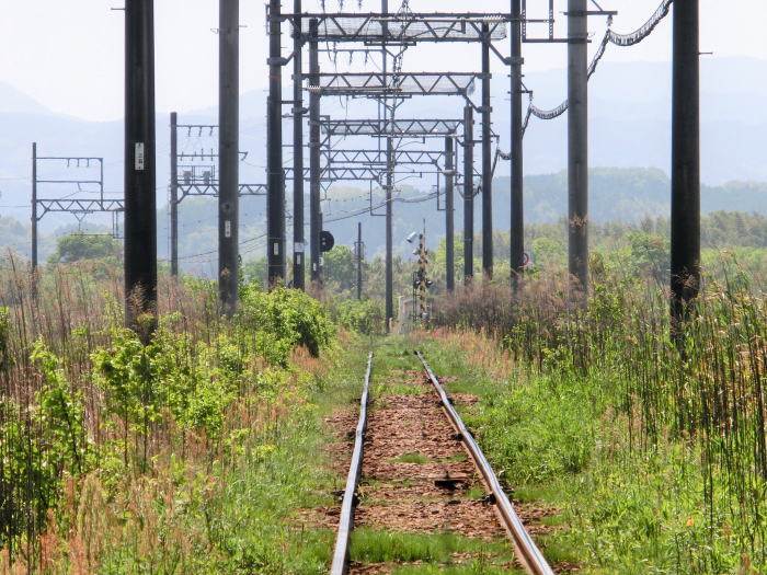 そろそろ草ボウボウになってきた線路。<br>